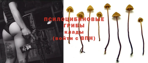 марки nbome Аркадак