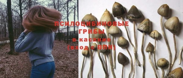 марки nbome Аркадак