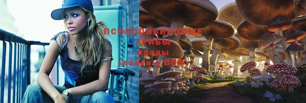 сатива Кулебаки