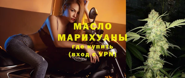 сатива Кулебаки