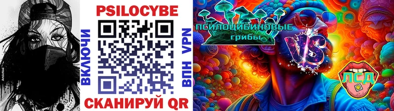 Купить где  Вольск  Галлюциногенные грибы Psilocybe 